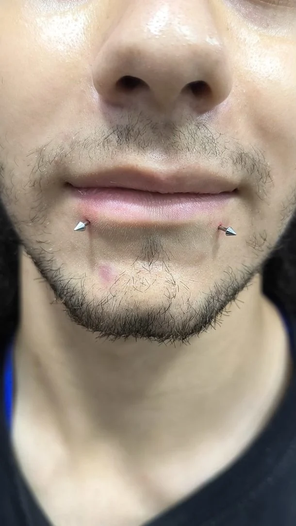 ✅Snake Bites com Spikes em Titânio para o Guilherme! 👑®️🔥
Muito obrigado pela confiança!
.
✅ Procedimento ESTÉRIL 
✅ Joalheria em Aço cirúrgico & Titânio 
✅ Atendimento com hora marcada 
.
.
#piercing #piercer #snakebites #renanrea #kingstattoo