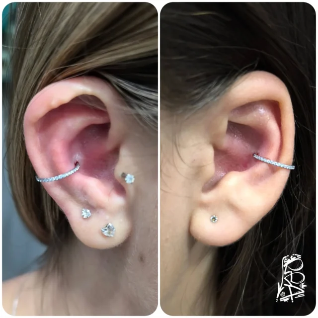 ✅CONCH! 
Eu adoro fazer perfurações com esse encaixe perfeito! É sempre um desafio acertar a anatomia de cada orelha... E tbm, sempre muito gratificante quando o resultado traz essa estética PERFEITA!
Muito obrigado pela confiança de vocês! 👑🔥®️
.
.
#bodypiercer #piercing #conch #perfuraçãocorporal #perfuracao #bodyart #piercer #piercinglife #piercingconch #piercingstudio #renanrea #foryou #fy #kingstattoo